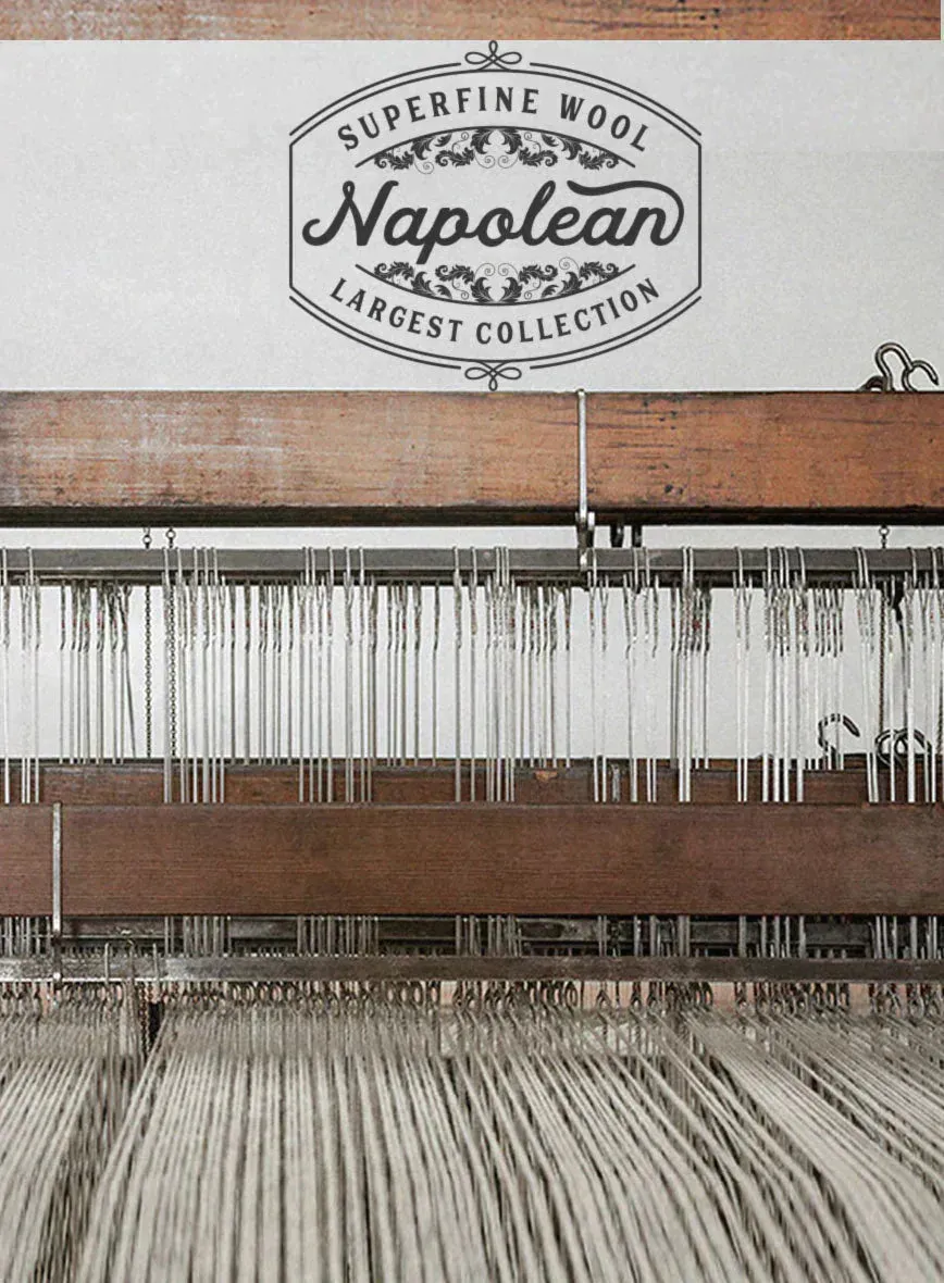 Napolean Bob Weave Gray Wool Pants